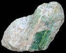 Polished Green-White Opal Slab - Western Australia #65401-1
